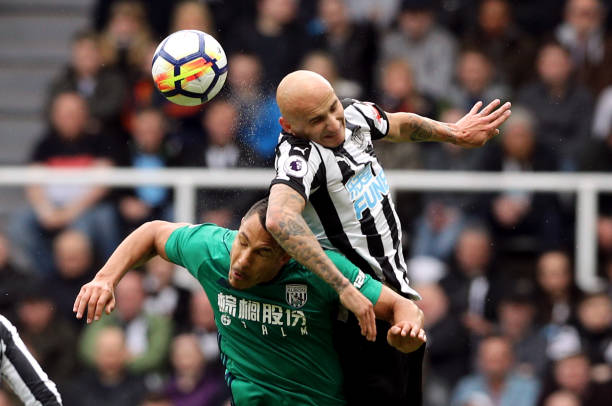 引进优秀球 引进优秀球